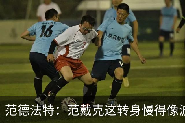 范德法特：范戴克这转身慢得像波音747，这可不是什么好事